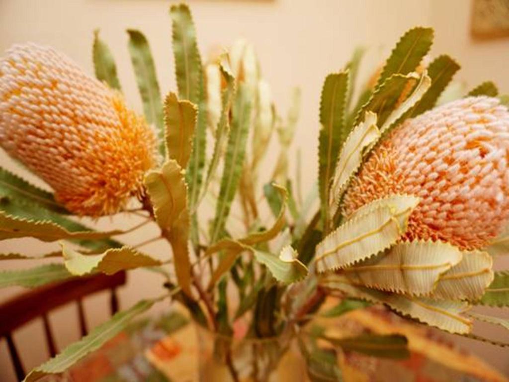 It'S On Walnut Villa Mildura Phòng bức ảnh